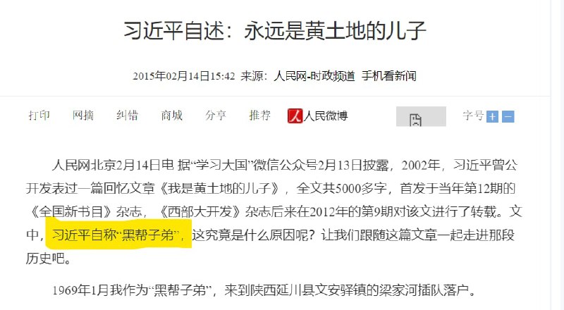 黑帮子弟 习近平（皮肤）By