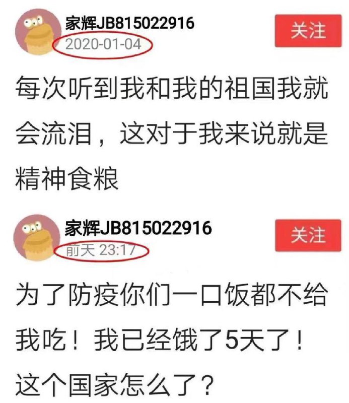 菜人看了会沉默费拉看了会流泪