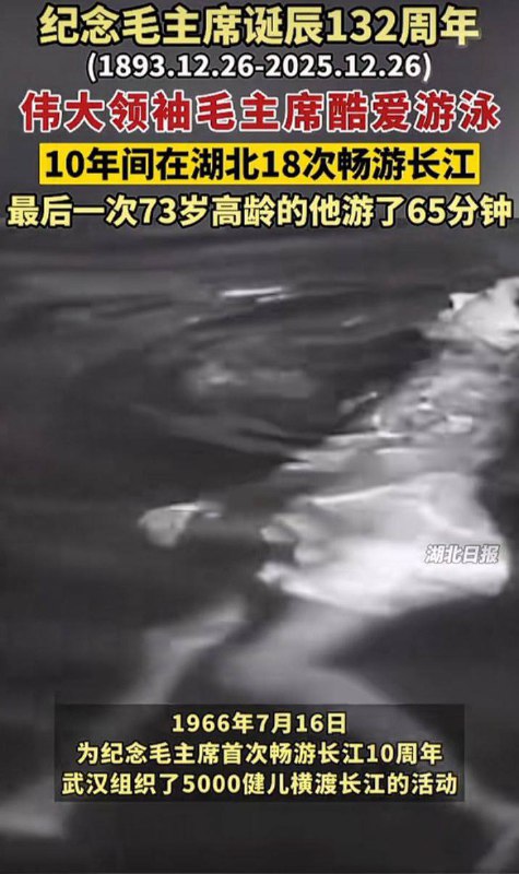 👤 来自: 猫头鹰