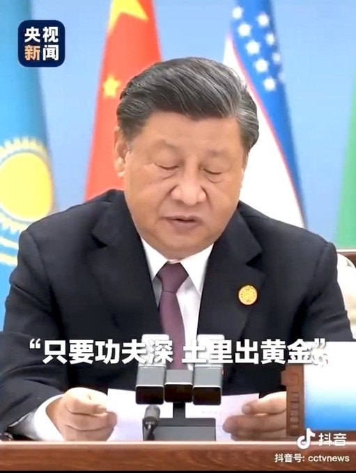 炼金术士习近平，天天想去屎里挖金，没有困难制造困难，就是要和丐帮一起奋斗