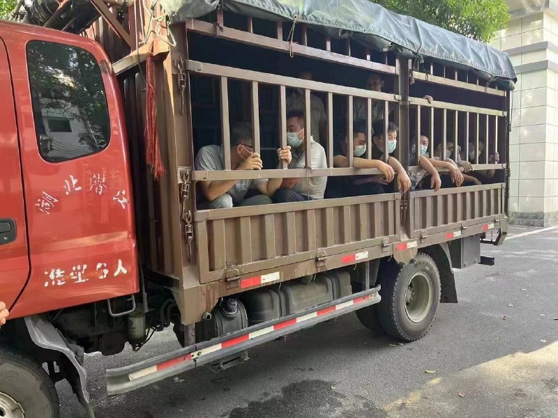 政府真的太体贴了，给了一级棒体验！共匪娼妓·马迎新·老鸨政府真的太体贴了，给了一级棒体验！共匪娼妓·马迎新·老鸨