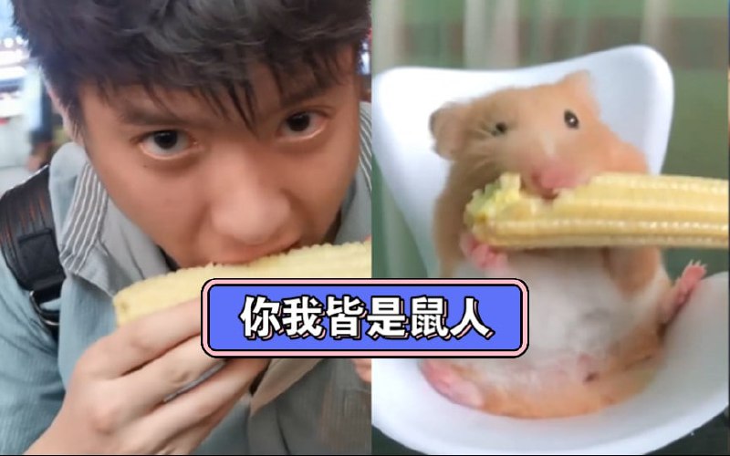 鼠人冲塔2.0，UP主（大食雪汉）制作鼠人电影，被B站下档3次，原链接