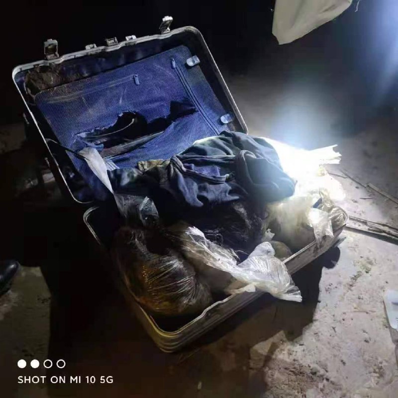 我们中国真的太安全了，杀人碎尸案都出来了🤡共匪娼妓·马迎新·丸崽我们中国真的太安全了，杀人碎尸案都出来了🤡共匪娼妓·马迎新·丸崽