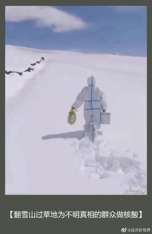 谁也阻止不了，中国人民对核酸的热爱，合订本马迎新⚔️大佐谁也阻止不了，中国人民对核酸的热爱，合订本马迎新⚔️大佐