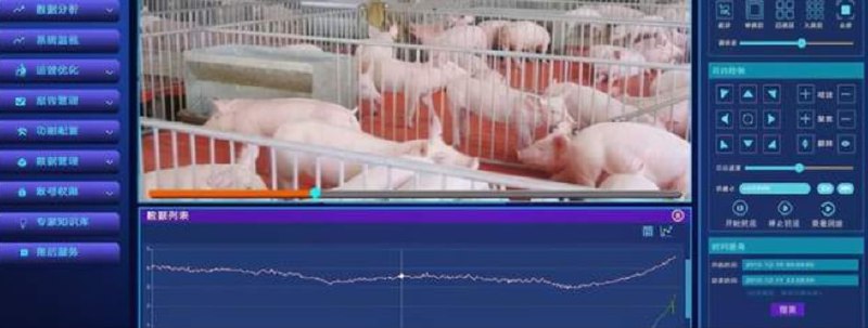 技术是一样的，实验的“生物“也一样拐卖幼女·马迎新·老鸨技术是一样的，实验的“生物“也一样拐卖幼女·马迎新·老鸨