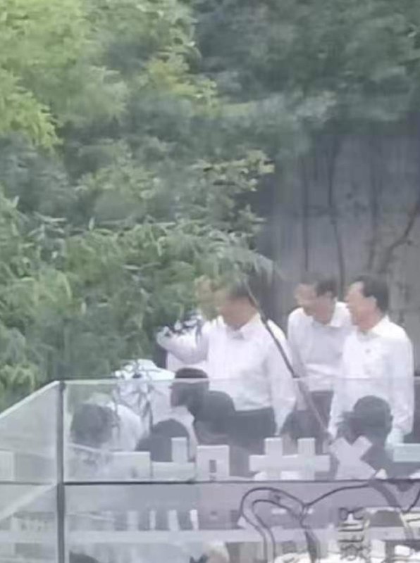 习隆下江南习隆下江南