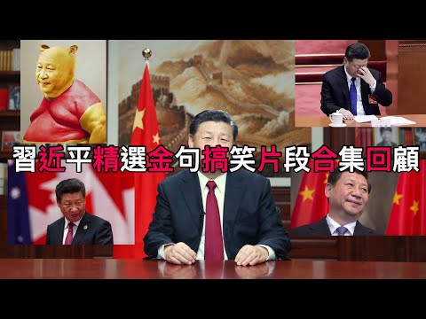 理涛墙内天天嘲美国总统老年痴呆，日本总统奴颜卑膝，韩国总统讲登子坏话被拍到等等，是因为平子出的洋相都404了吧。