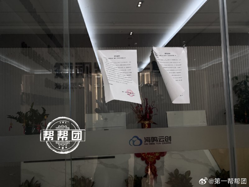 2021年创业至今，吸引了60万人投资的小猪优版被曝光