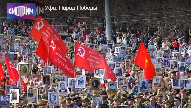 苏爹再现投稿By