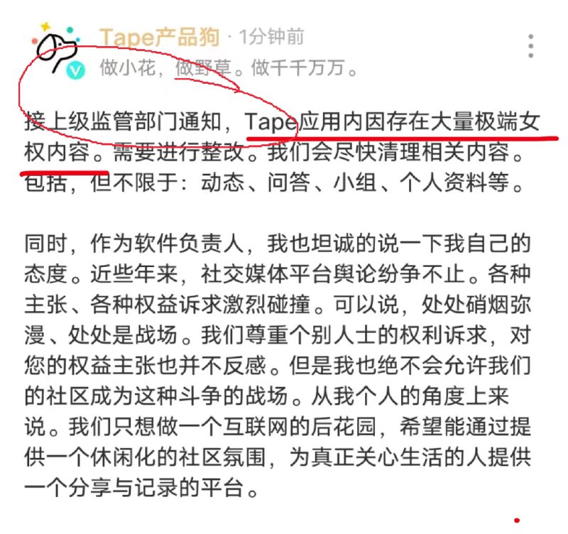 这下，集美们又破防了投稿By