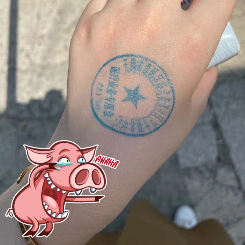 恭喜中国人，以后正式 成为支猪了投稿By