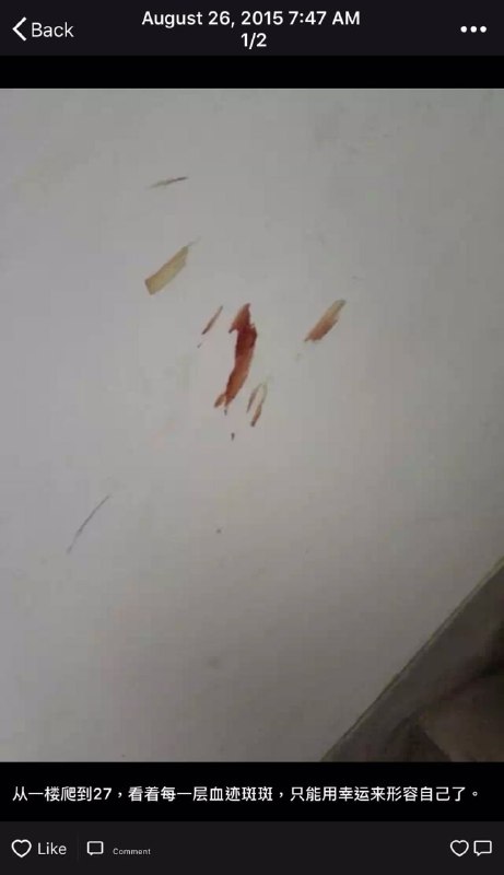 感谢政府！！！ 我爱中国！ 万岁万岁！ 来世再来种花家习近平👅马迎新感谢政府！！！ 我爱中国！ 万岁万岁！ 来世再来种花家习近平👅马迎新