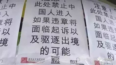 阿拉人享受了高等待遇投稿By