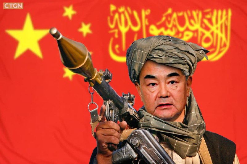 China Nonghua News 中国农华通讯社信