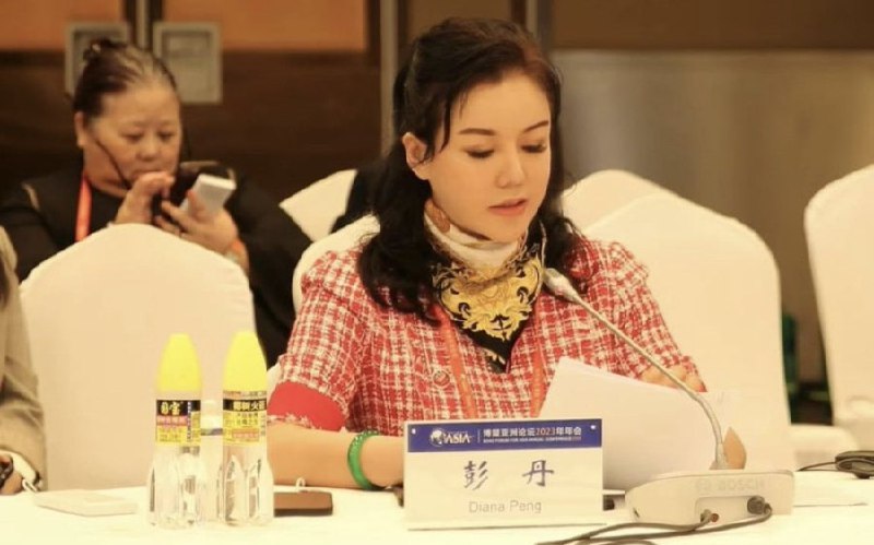 国际经济战略研究院院长，中国与洪都拉斯建交，香港前艳星彭丹担任民间外交家发挥作用