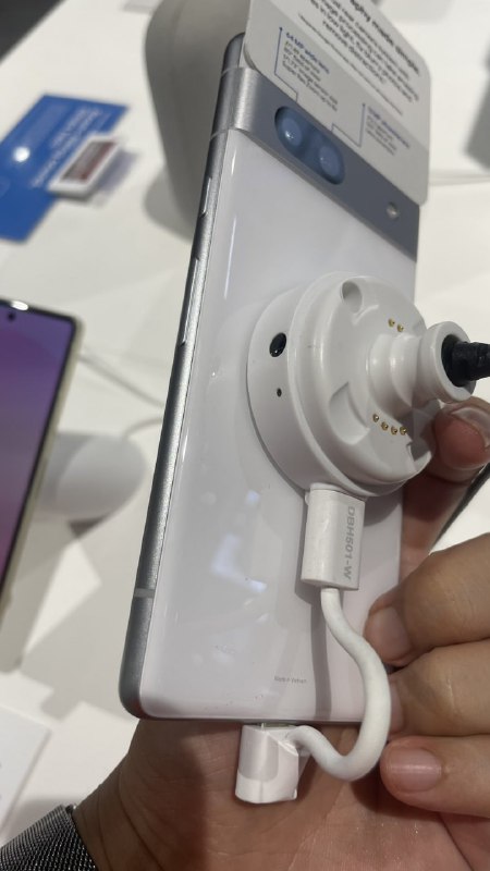 这是新的政治正确了吗这是新的政治正确了吗