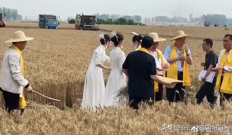 还请这么多美女去农田陪共匪官员呢还请这么多美女去农田陪共匪官员呢