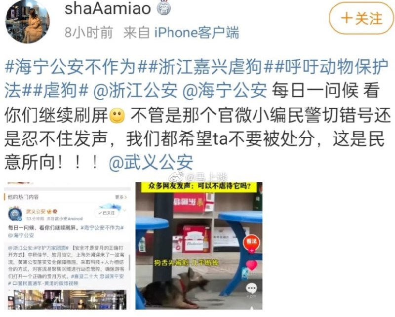 你们说的问题他们都知道，但是🤡🤡🤡🤡马迎新习近平-爱巢❤️你们说的问题他们都知道，但是🤡🤡🤡🤡马迎新习近平-爱巢❤️