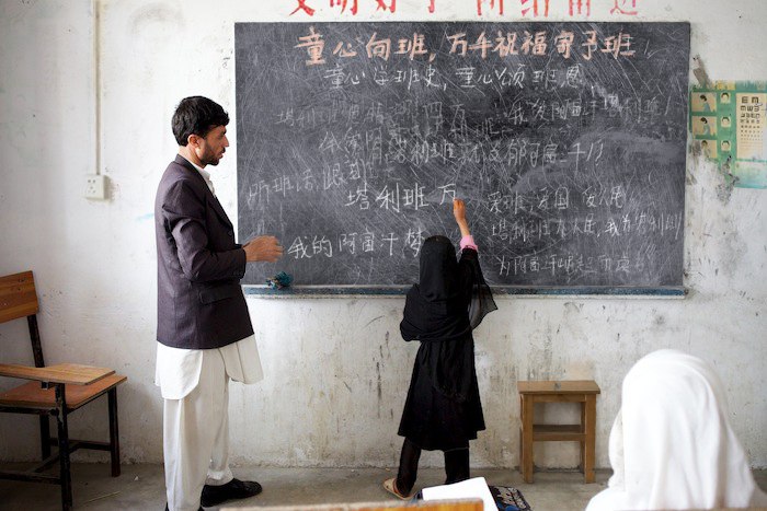 魚🈴麒麟☢️🚾