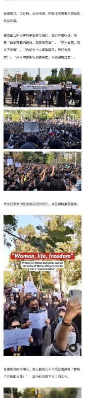 😔养猪达人·马迎新😔养猪达人·马迎新