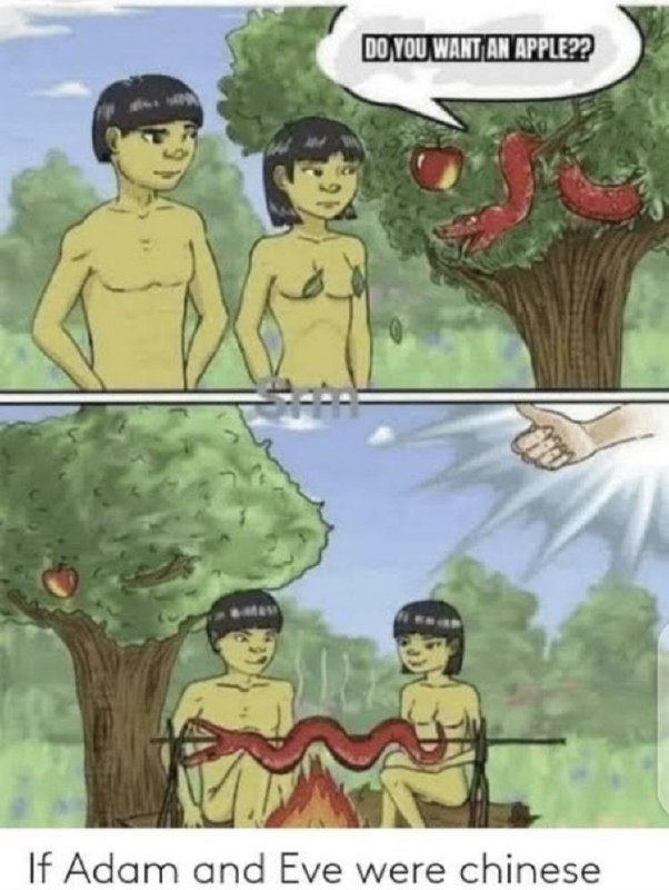 如果亚当夏娃是中国人，圣经就不会这么厚了 Tweet by @435Hz