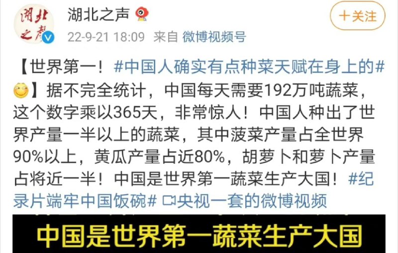 农业大国，能在夹缝中种菜养猪达人·马迎新农业大国，能在夹缝中种菜养猪达人·马迎新