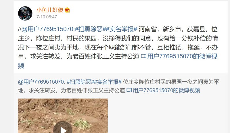 #墙国粉红现世报 果园都被拆了， 还有心思天天追明星的女人，你老公都露脸举报了