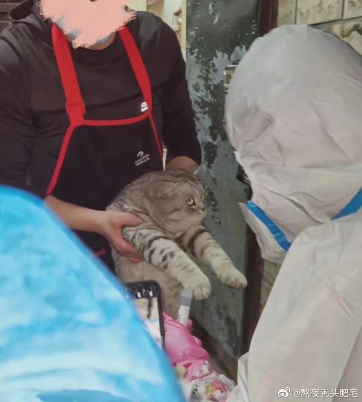 一些感人瞬间一些感人瞬间