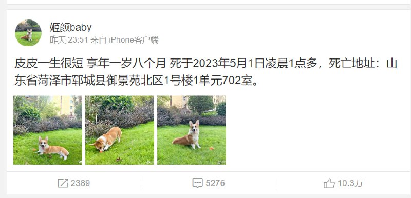 能打仗 打胜仗，这就是中国兵哥能打仗 打胜仗，这就是中国兵哥