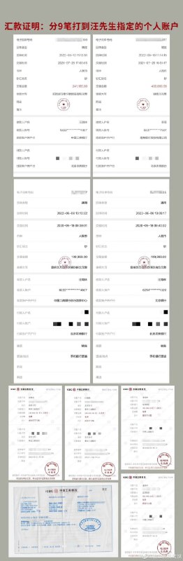 墙内爱国大V的日常