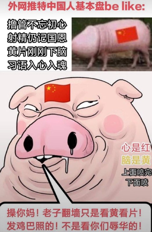 看完这张图片能绷住的