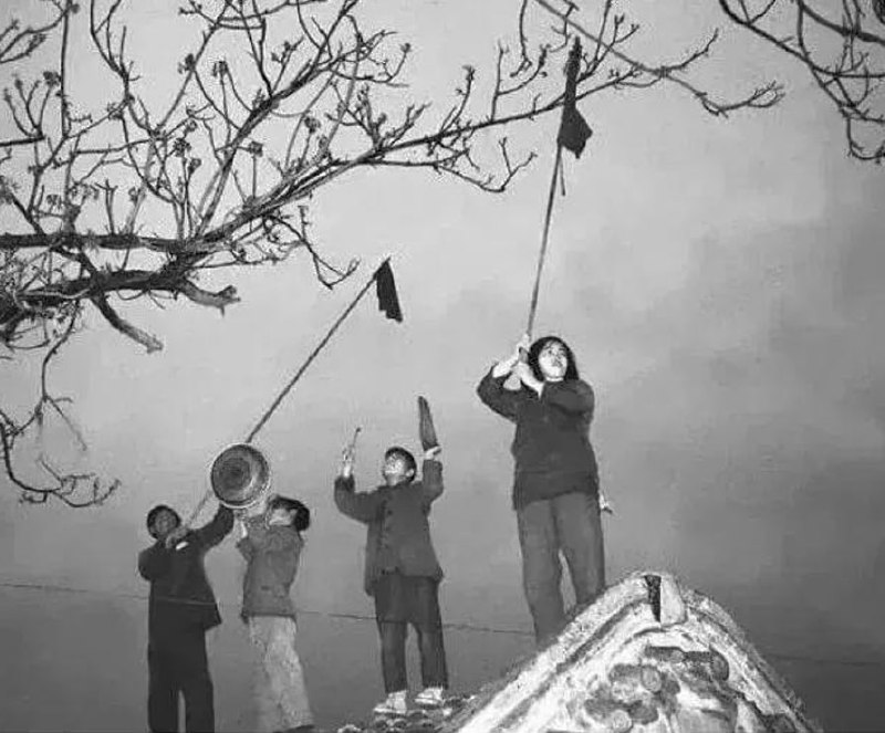 麻雀清零行动  与 病毒清零行动 异曲同工， 党带领人们走向一个又一个胜利麻雀清零行动  与 病毒清零行动 异曲同工， 党带领人们走向一个又一个胜利