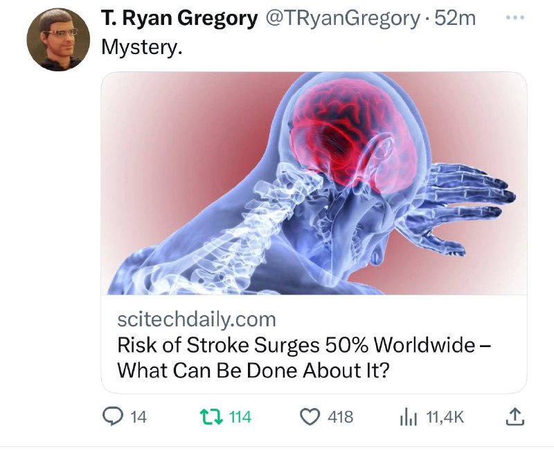 大大没有骗你们