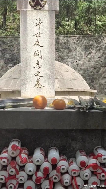 开国上将许世友的墓，全是茅台马迎新习近平-爱巢❤️开国上将许世友的墓，全是茅台马迎新习近平-爱巢❤️