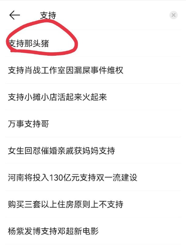 感谢微博的分享😁投稿By