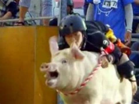 就是养殖场的一生共匪娼妓·马迎新·丸崽就是养殖场的一生共匪娼妓·马迎新·丸崽