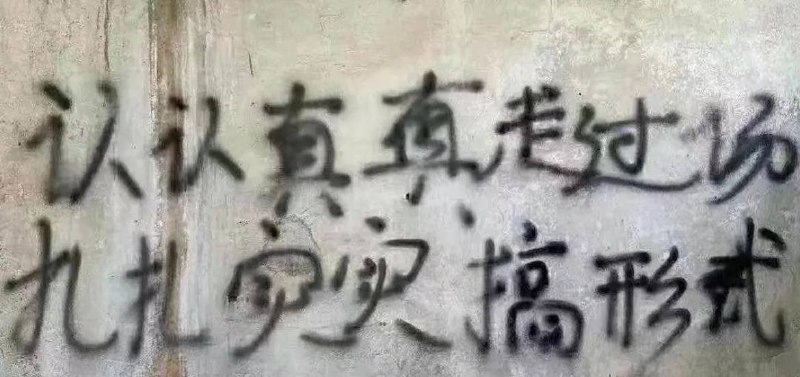 丸崽·马迎新·习近平