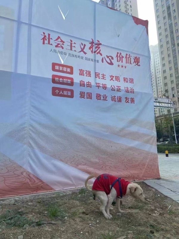 哪条反华狗?By:匿