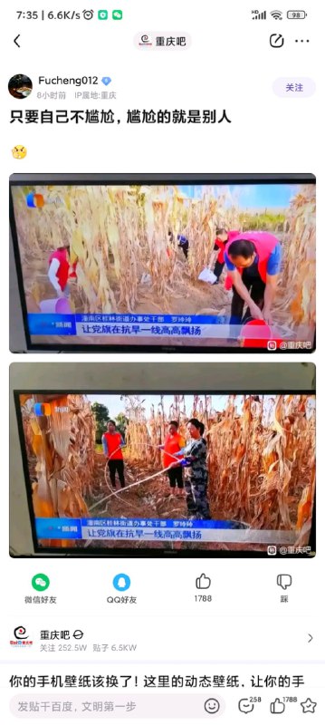 如何评价 中国政府人员 护卫已经摘完的玉米杆