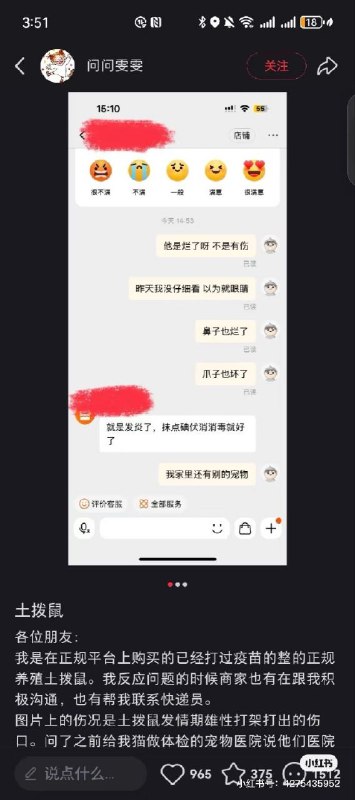 上海人民有福了By