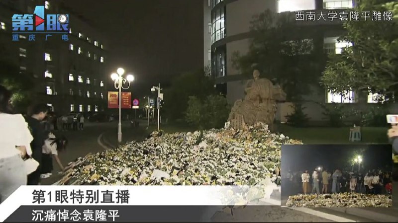 乌合麒麟要不要画幅画把这群给袁隆平献美国🇺🇸葬礼专用花『康乃馨』的境外势力给批判一番？！乌合麒麟要不要画幅画把这群给袁隆平献美国🇺🇸葬礼专用花『康乃馨』的境外势力给批判一番？！