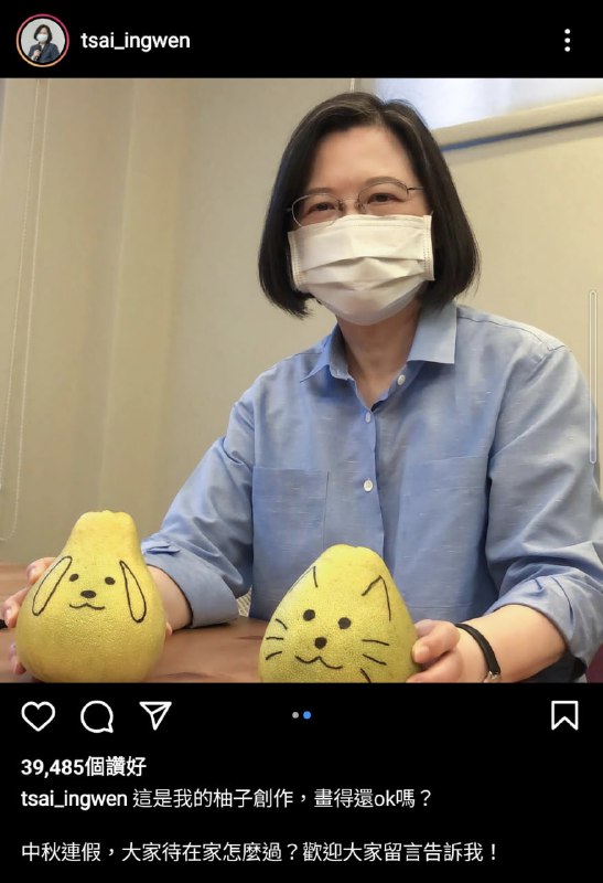 蔡总统为什么不画一个小熊维尼啊😭