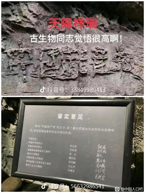 By:匿名投稿