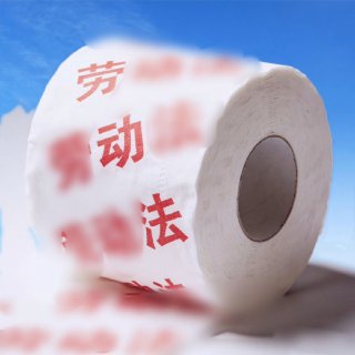 网友模仿《这个大笨猫