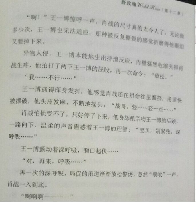 肖战=普京王一博=习近平