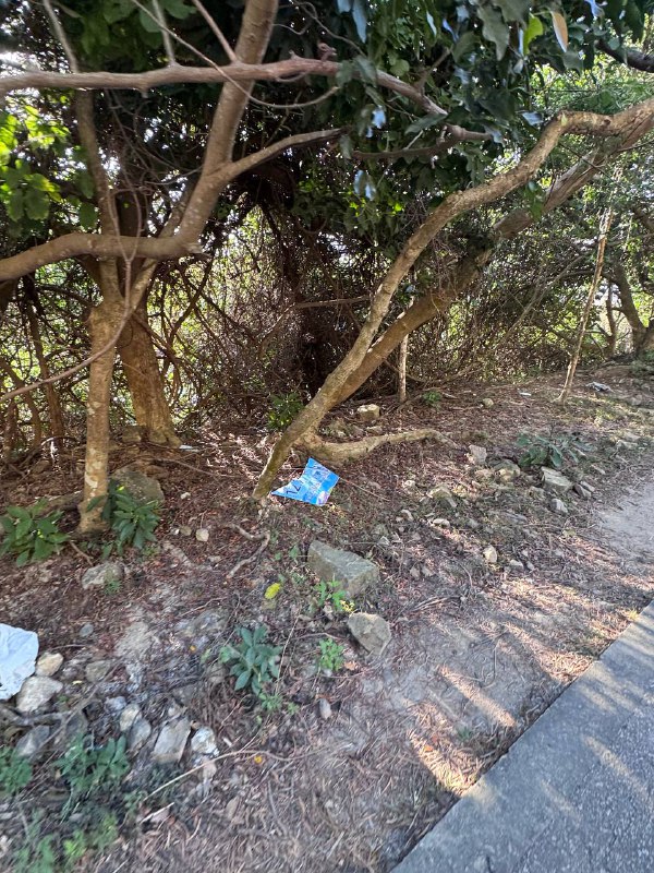 請垃圾們不要破壞香港環境🕶️ 匿名投稿請垃圾們不要破壞香港環境🕶️ 匿名投稿