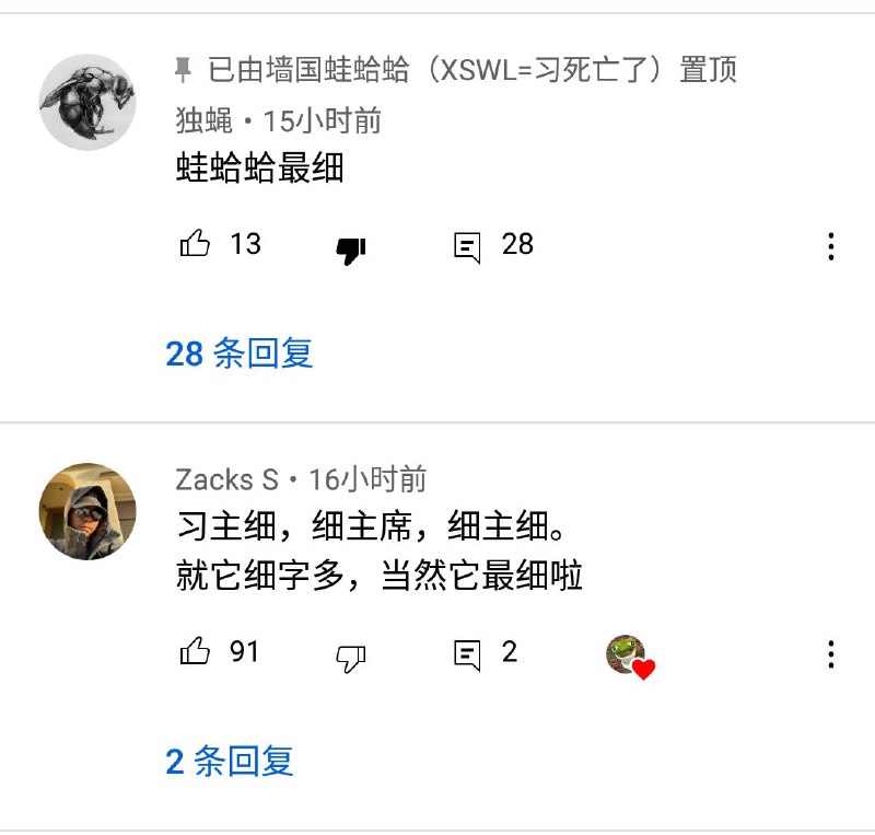 苍蝇比习主席还细腻苍蝇比习主席还细腻