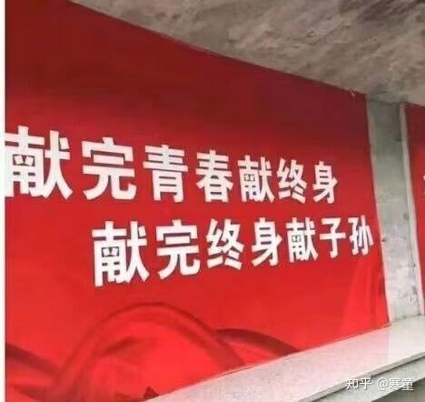 今天你献出一切了吗投稿By