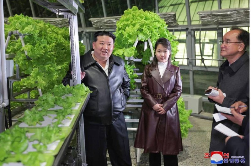 3月16日，朝鲜官方媒体朝中社发布了一则金正恩和金珠爱出席一个综合温室竣工投产仪式的报道