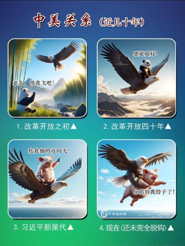 中美关系一览😁😁By